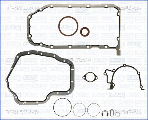 Triscan 595-50102 Gasket Set, crank case 59550102