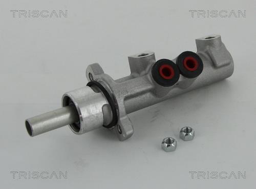 Triscan 8130 24163 Brake Master Cylinder 813024163