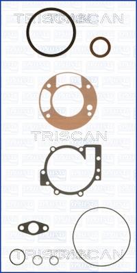 Triscan 595-80101 Gasket Set, crank case 59580101