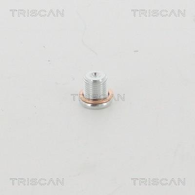 Triscan 95-0959 Sump plug 950959
