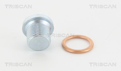 Triscan 95-0960 Sump plug 950960