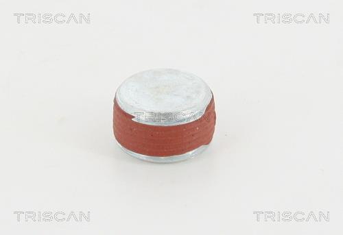 Triscan 95-0979 Sump plug 950979