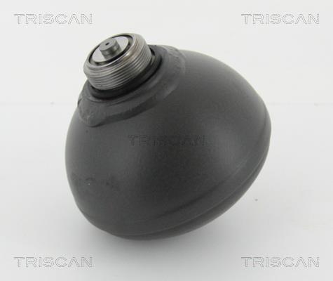 Triscan 8760 38223 Hydraulic accumulator 876038223