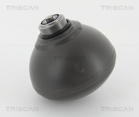 Triscan 8760 38229 Hydraulic accumulator 876038229