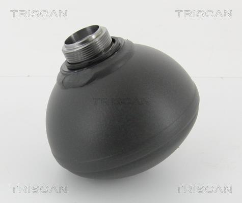 Triscan 8760 38235 Hydraulic accumulator 876038235