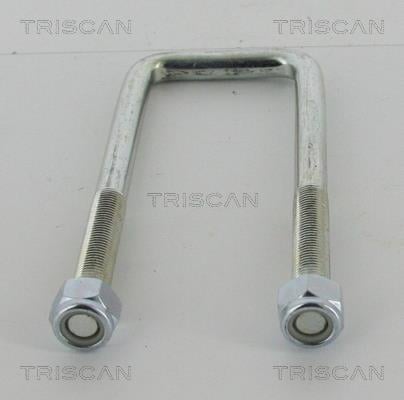 8765140004 Triscan U-bolt for Springs