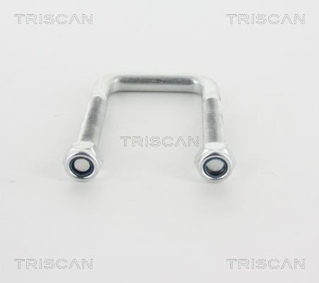 Triscan 8765 160003 U-bolt for Springs 8765160003