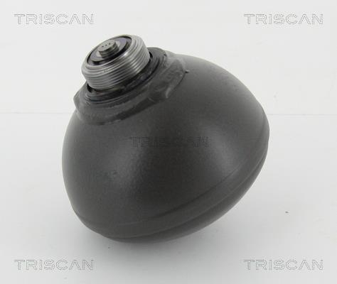 Triscan 8760 38132 Hydraulic accumulator 876038132