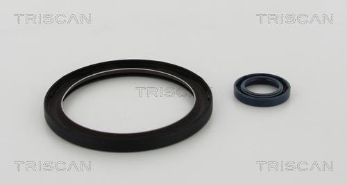 Triscan 8550 10013 Gearbox oil seal 855010013