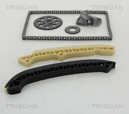 Triscan 8650 29003 Timing chain kit 865029003