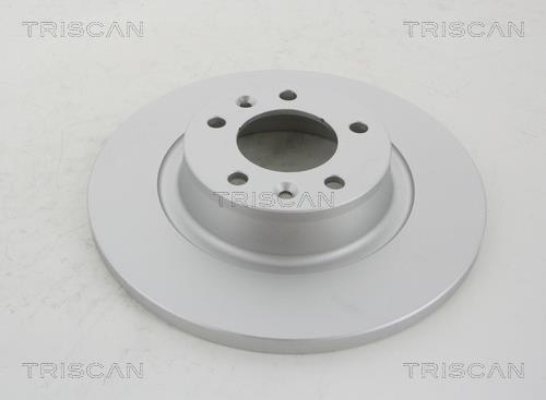 Triscan 8120 101013C Rear brake disc, non-ventilated 8120101013C