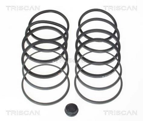 Triscan 8170 184602 Repair Kit, brake caliper 8170184602