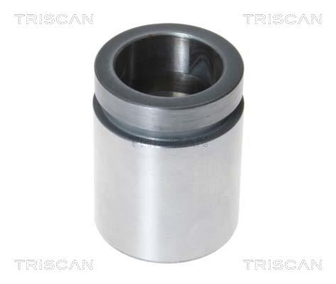 Triscan 8170 234046 Brake caliper piston 8170234046