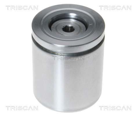 Triscan 8170 235485 Brake caliper piston 8170235485