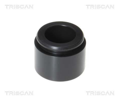 Triscan 8170 234047 Brake caliper piston 8170234047