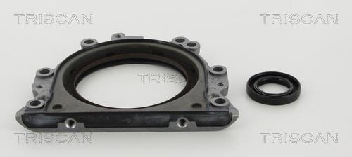 Triscan 8550 29022 Gearbox oil seal 855029022