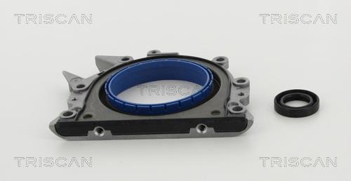 Triscan 8550 29017 Gearbox oil seal 855029017