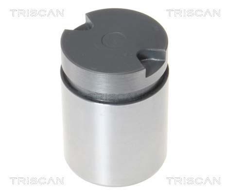 Triscan 8170 233872 Brake caliper piston 8170233872