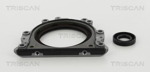 Triscan 8550 29010 Gearbox oil seal 855029010
