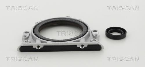 Triscan 8550 29011 Gearbox oil seal 855029011