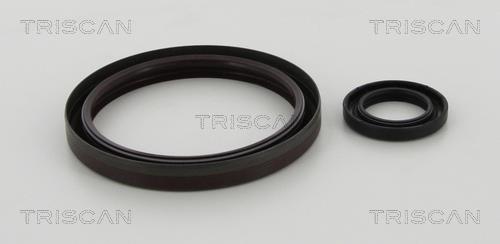 Triscan 8550 23006 Gearbox oil seal 855023006