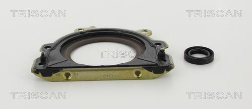 Triscan 8550 29005 Gearbox oil seal 855029005