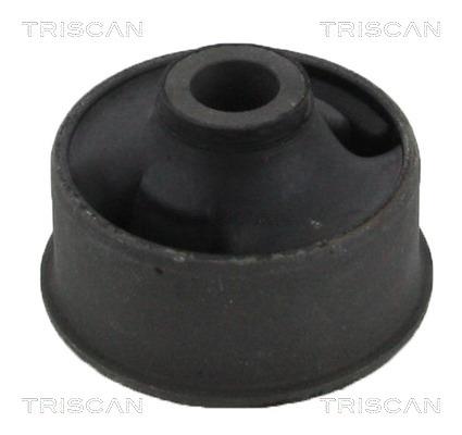 Triscan 8500 13828 Control Arm-/Trailing Arm Bush 850013828