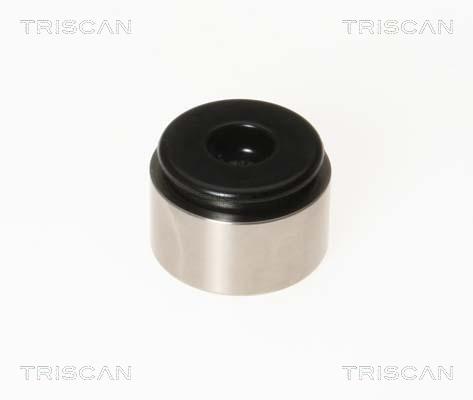 Triscan 8170 233871 Brake caliper piston 8170233871