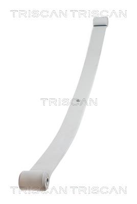 876510004 Triscan Leaf spring