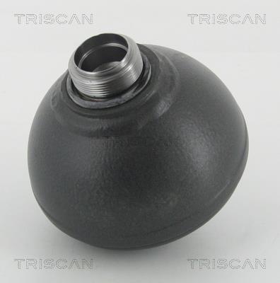 Triscan 8760 38304 Hydraulic accumulator 876038304