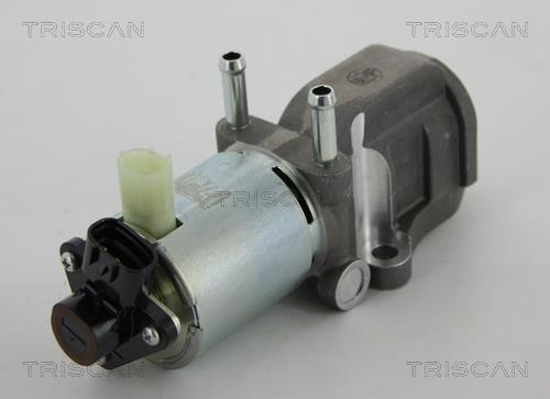 Triscan 8813 13202 EGR Valve 881313202