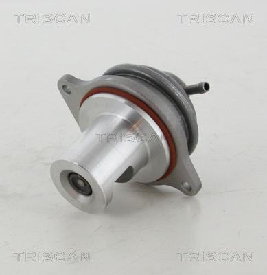 Triscan 8813 23207 EGR Valve 881323207