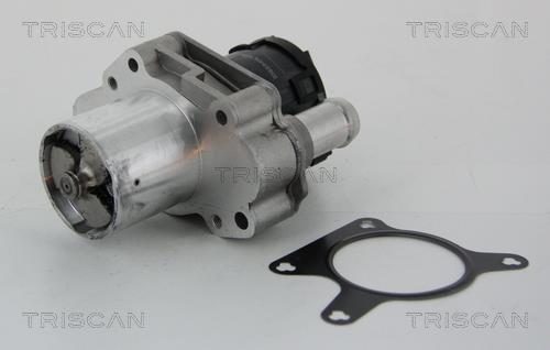 Triscan 8813 23031 EGR Valve 881323031