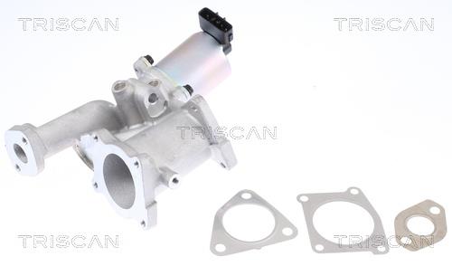 Triscan 8813 24101 EGR Valve 881324101