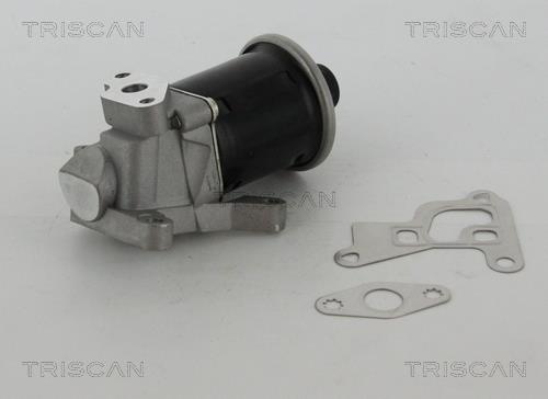 Triscan 8813 29100 EGR Valve 881329100