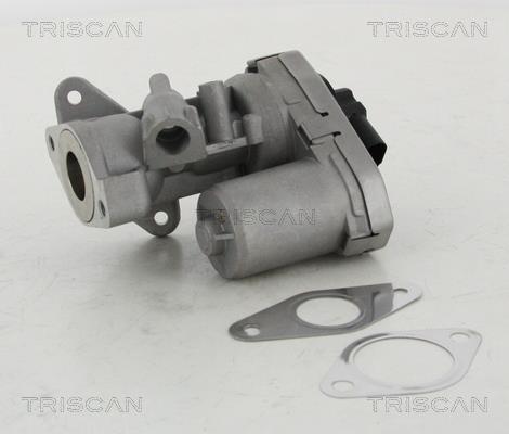 Triscan 8813 10002 EGR Valve 881310002