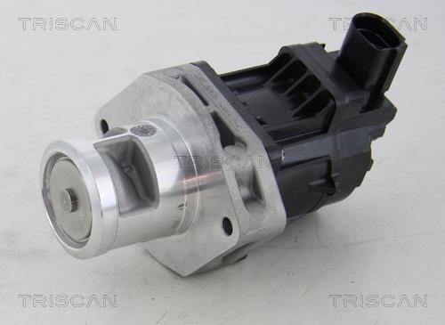 Triscan 8813 10214 EGR Valve 881310214