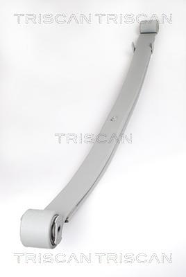 Triscan 8765 10005 Leaf spring 876510005 876510005 Triscan Leaf spring
