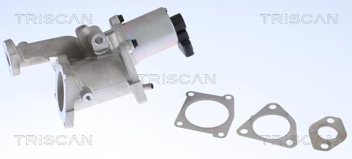 Triscan 8813 24022 EGR Valve 881324022