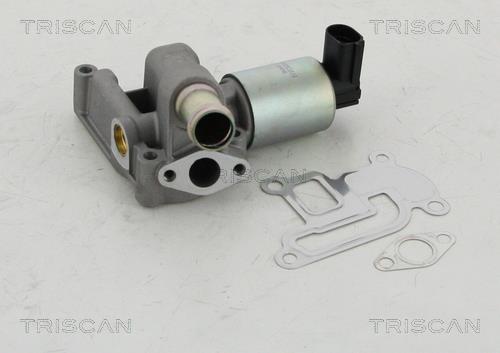 Triscan 8813 24003 EGR Valve 881324003