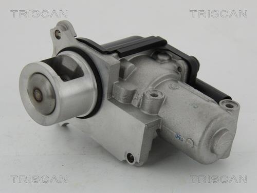 Triscan 8813 29002 EGR Valve 881329002