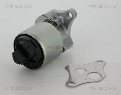 Triscan 8813 24081 EGR Valve 881324081