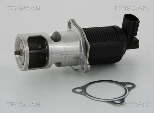 Triscan 8813 24055 EGR Valve 881324055