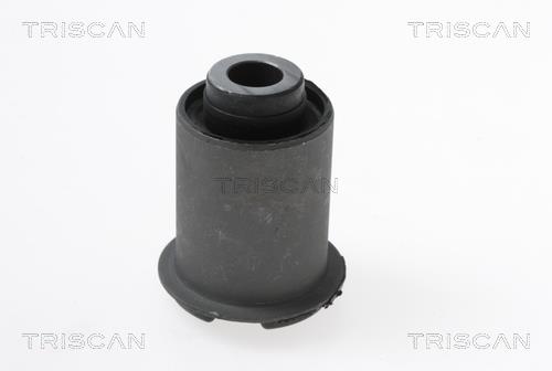 Triscan 8500 43810 Control Arm-/Trailing Arm Bush 850043810