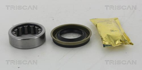 Triscan 8530 102002 Wheel bearing kit 8530102002