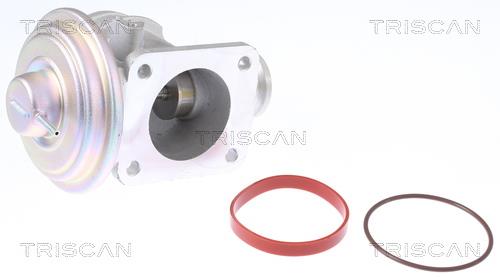 Triscan 8813 11004 EGR Valve 881311004