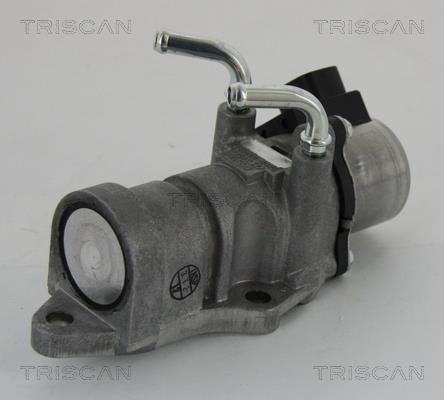 Triscan 8813 13201 EGR Valve 881313201