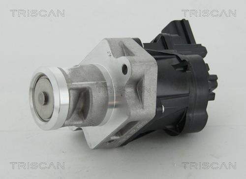 Triscan 8813 24083 EGR Valve 881324083