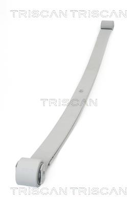876510006 Triscan Leaf spring