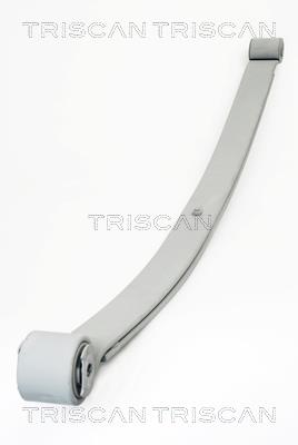 876510007 Triscan Leaf spring